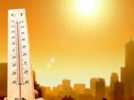 Cẩn trọng với ngộ độc thực phẩm ngày nắng nóng