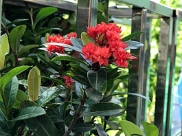 Đổi nhà 100m2 lấy nhà nhỏ bằng nửa, chúng tôi sống thoải mái hơn