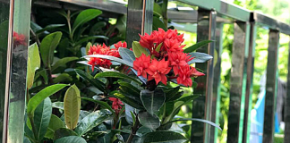 Đổi nhà 100m2 lấy nhà nhỏ bằng nửa, chúng tôi sống thoải mái hơn