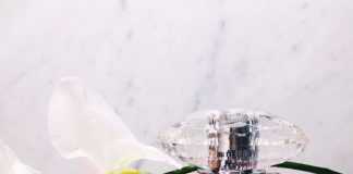 Versace Bright Crystal – Đẳng cấp hương thơm thanh lịch