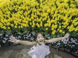 Hành trình 3 ngày 2 đêm đón tết siêu sang tại Nha Trang