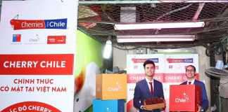 Cherry Chile lần đầu được nhập khẩu vào VN, người tiêu dùng Việt có thêm lựa chọn mới