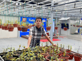 Nghệ nhân Vương Tất Trường niềm đam mê với nghề trồng lan