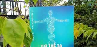 Sạch quá thì dễ mắc bệnh