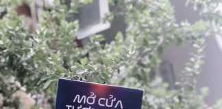 Mở cửa tương lai cùng chuyên gia Nguyễn Phi Vân