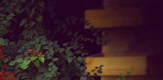 “Độc chiêu” giữ mãi sự trẻ trung và vượt stress của nữ doanh nhân Trần Nam Phong