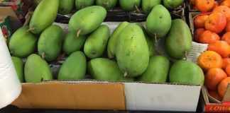 Xoài xanh Việt Nam được bán với giá gần 300.000 đồng/kg tại Australia