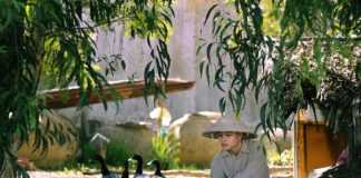 Bộ ảnh “Về quê học online” đầy độc đáo của chàng sinh viên năm nhất