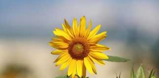 Nhật ký trẻ: Giận để cho nhau bài học, nhưng đừng lâu quá…