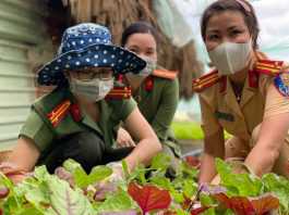 Những sắc áo tình nguyện góp sức giúp vùng dịch Bình Dương