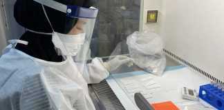 Đột phá mới về thực phẩm có thể ngăn ngừa các triệu chứng chính giống như sốt xuất huyết