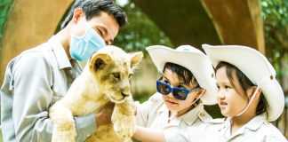 Siêu ưu đãi “Wonder Combo”: Khám phá VinWonders được tặng đêm nghỉ Vinpearl