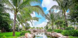 TPHCM: Người mua khát căn hộ xanh, không gian nghỉ dưỡng “chất”