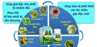 BoniDetox – Bí quyết từ Mỹ dành cho người bệnh viêm phế quản mạn tính