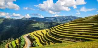 Bí kíp săn ảnh “độc – lạ- đẹp” từ nhiếp ảnh gia Quỷ Cốc Tử