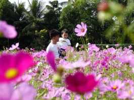 BenThanh Tourist giới thiệu 20 chương trình du xuân Tết 2022 đặc sắc