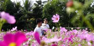 BenThanh Tourist giới thiệu 20 chương trình du xuân Tết 2022 đặc sắc