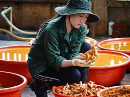 Hướng dẫn cách làm tinh bột nghệ tại nhà của cô nàng 9x Lâm Đồng, gây sốt cộng đồng mạng.