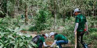 Nestlé Việt Nam & Trung tâm Bảo tồn Gaia cùng “Gieo Mầm Xanh – Ươm Sự Sống”