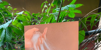 Cùng Andrew Holecek “Bàn về sinh tử”