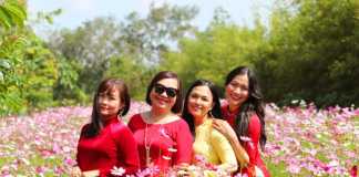 Cánh đồng hoa Covy Farm – điểm checkin sống ảo mới dịp Tết Nguyên đán Quý Mão