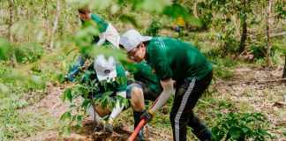 Nestlé được Global Canopy xếp hạng Top 3 doanh nghiệp nỗ lực bảo vệ rừng