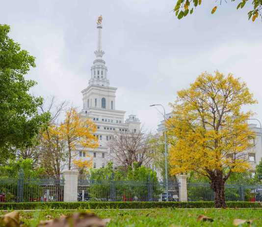 “Bản Concerto” mùa Xuân bất tận tại “Quận Ocean”