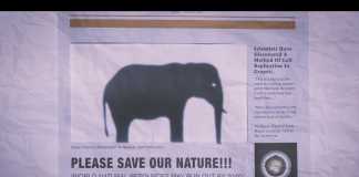 Phim hoạt hình tĩnh vật nhắn nhủ thông điệp xanh