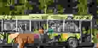 Vòng quanh Phú Quốc miễn phí bằng tuyến VinBus 24/7 đầu tiên tại Việt Nam