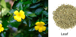 Cách giữ lửa vợ chồng trong cuộc sống bận rộn mà phụ nữ cần biết