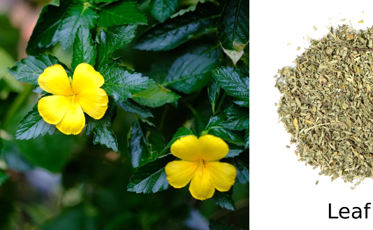 Cách giữ lửa vợ chồng trong cuộc sống bận rộn mà phụ nữ cần biết
