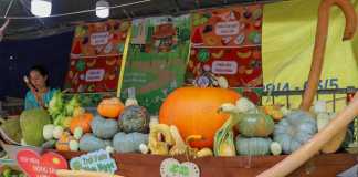 Tuần lễ trái cây ‘Trên bến dưới thuyền’ quảng bá tiềm năng du lịch sông nước