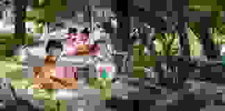 Hành trình kỳ nghỉ lễ hội âm nhạc đỉnh cao tại Vinpearl Hòn Tre