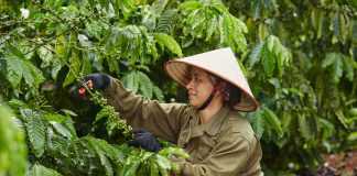 Coffee Barometer 2023: Nestlé đứng Top 1 về phát triển bền vững trong lĩnh vực sản xuất cà phê