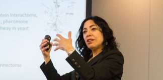 Các trí tuệ khoa học hàng đầu thế giới mở “chiếc hộp đen” AI tại Tọa đàm của Quỹ VinFuture