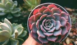 Tử vi 12 cung hoàng đạo ngày 26/12: Cự Giải nhiều niềm vui, Bảo Bình tiền đầy ắp