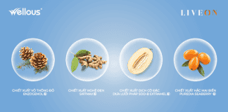 Lão hóa sớm không còn là nỗi lo dai dẳng với Gói uống chống oxy hóa LIVEON từ Tập đoàn dinh dưỡng có nguồn gốc từ thiên nhiên Wellous