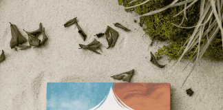 “Những lá thư từ hốc cây kỳ diệu” – tác giả Rebecca Lim và Kate Gordon