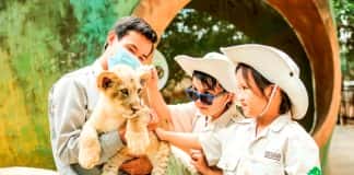 Siêu hot trải nghiệm “nhập vai bảo mẫu nhí” cực hút khách tại Vinpearl Safari