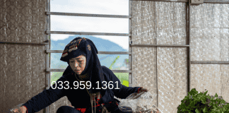 Viêm xoang, viêm mũi dị ứng – Đừng lo, nay đã có Xoang Kim Giao