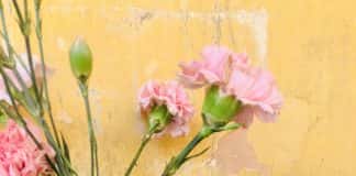 Sách mới: “Ánh sáng trắng” cuốn sách đầu tiên của Jon Fosse ra mắt độc giả Việt Nam