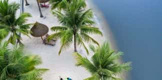 Vinhomes Grand Park liên tục phá vỡ giới hạn về kiến tạo hệ tiện ích sống đẳng cấp