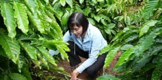 Nestlé công bố báo cáo tiến độ Chương trình NESCAFÉ Plan 2030: Tăng cường áp dụng nông nghiệp tái sinh, tăng năng suất và giảm phát thải khí nhà kính