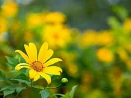 6 suy tư tạo động lực thành công cho bạn