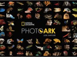 Đoàn nhiếp ảnh gia đình đám National Geographic “đổ bộ” Vinpearl Safari Phú Quốc