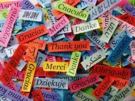 Cơ hội việc làm rộng mở với ngoại ngữ ‘hiếm’