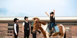 Loài ngựa cao nhất thế giới chào đời tại Vinpearl Horse Academy