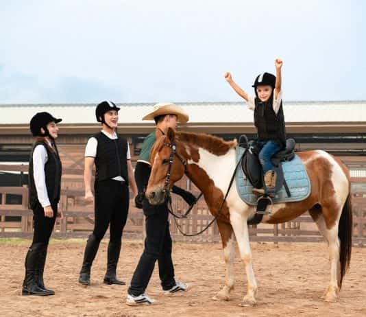 Loài ngựa cao nhất thế giới chào đời tại Vinpearl Horse Academy