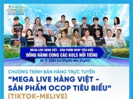 Hội nghị kết nối cung cầu giữa TP.Hồ Chí Minh và các tỉnh, thành năm 2024 với sự tham của hơn 2000 Doanh Nghiệp