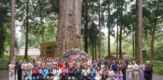 Độc đáo hôn lễ dưới tán cổ thụ 2000 tuổi trên núi A Lý Sơn